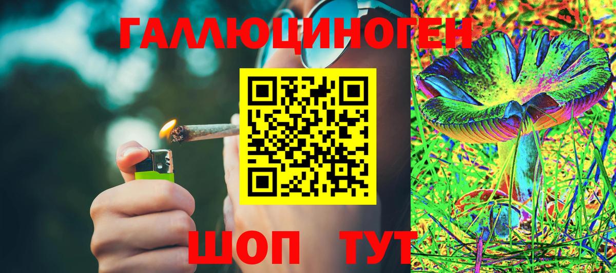 Острогожск  Псилоцибиновые грибы мицелий  купить наркотик  Вход с VPN 
