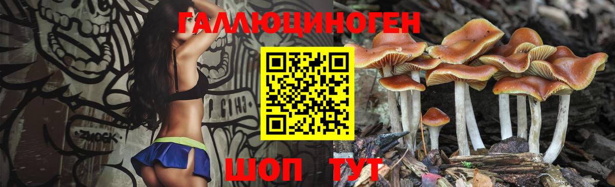 Псилоцибиновые грибы Magic Shrooms Острогожск